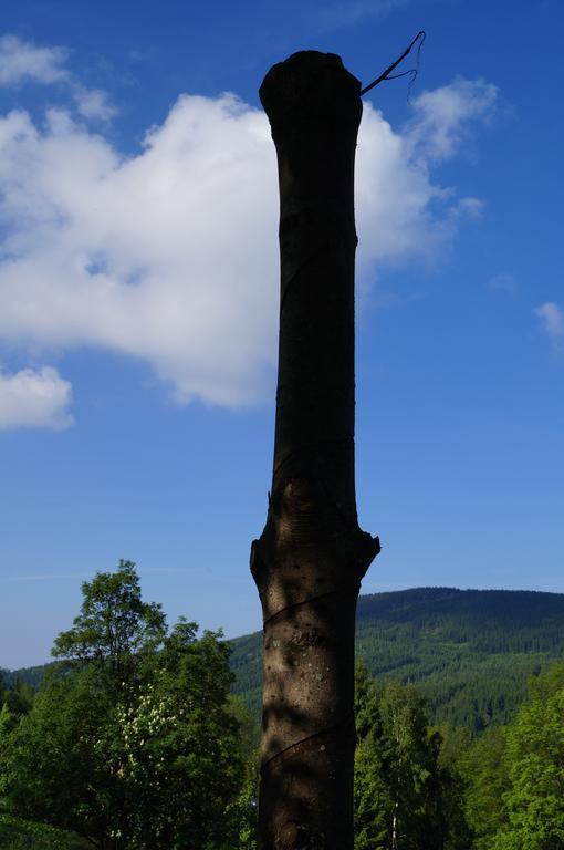Chata Jawa Hotel Strážné Buitenkant foto