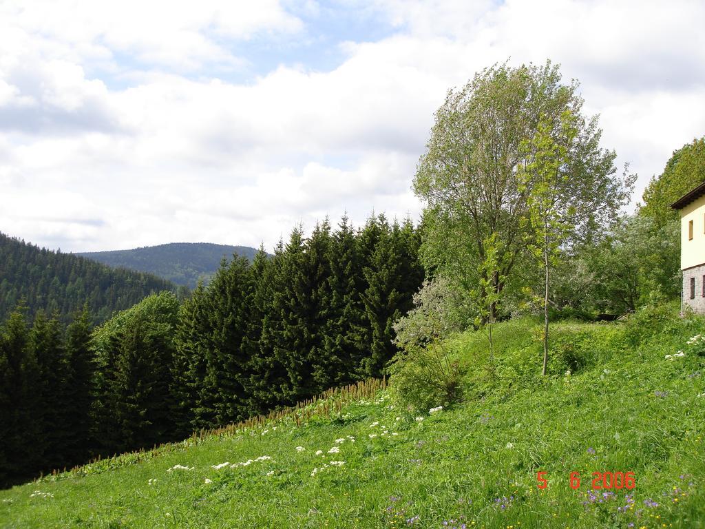 Chata Jawa Hotel Strážné Buitenkant foto