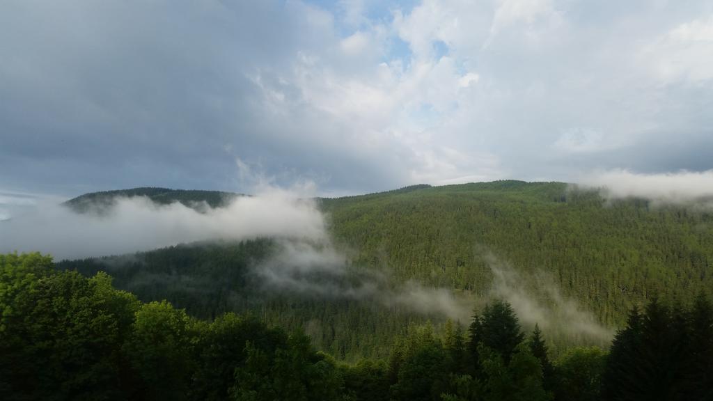 Chata Jawa Hotel Strážné Buitenkant foto